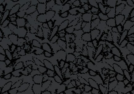 ۱۲