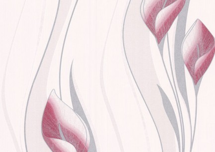 ۳۱-۵۵۶