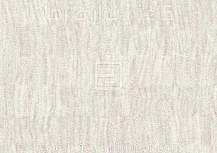 ۸۲۰۴