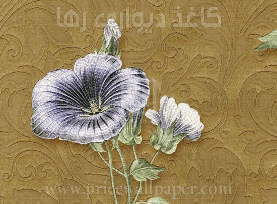 کورته آنتیکا ۸۲۲۴