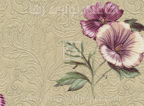 کورته آنتیکا ۸۲۲۵
