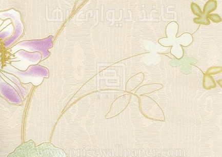 ۸۲۴۳