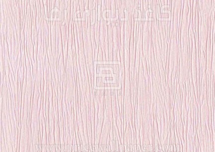 ۹۸۱۷