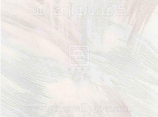روما C8006