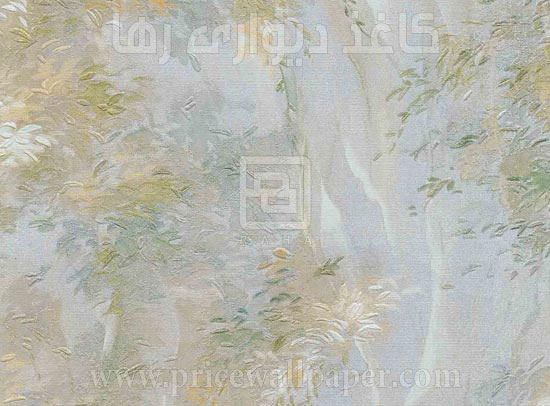 روم C8024