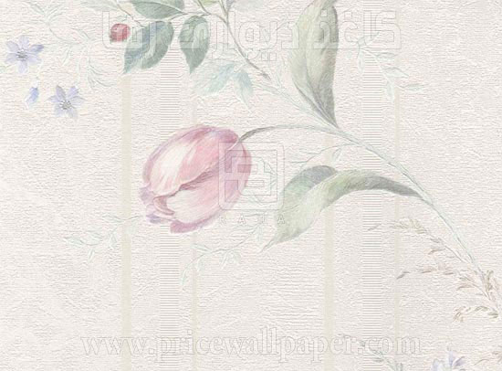 روم C8038