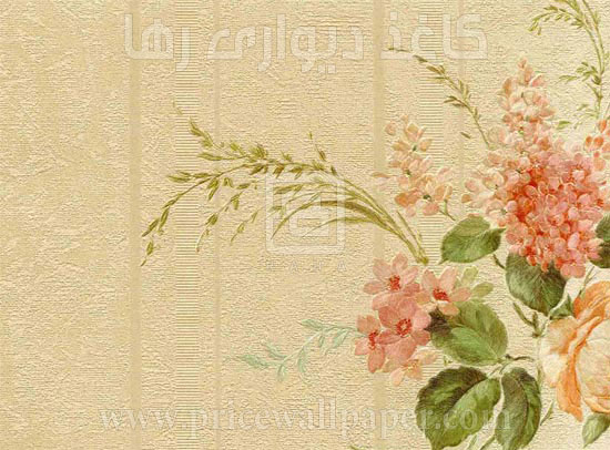 روم C8039
