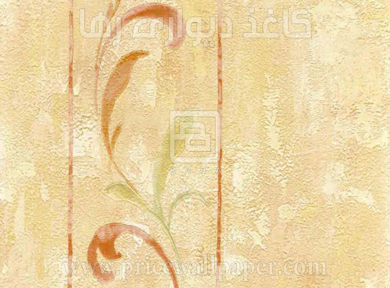 روم C8049