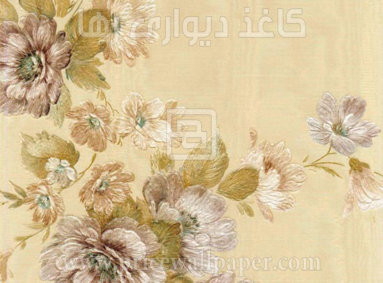 پرتا نووا c8638