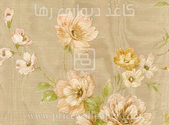 پرتا نووا c8640