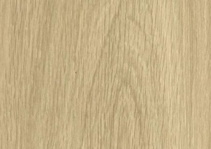 palaz-root-1701