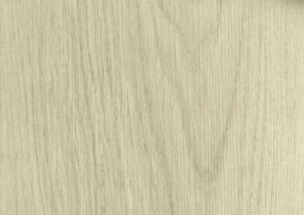 palaz-root-1702