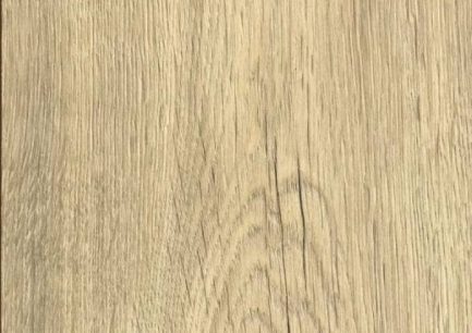 palaz-root-1703