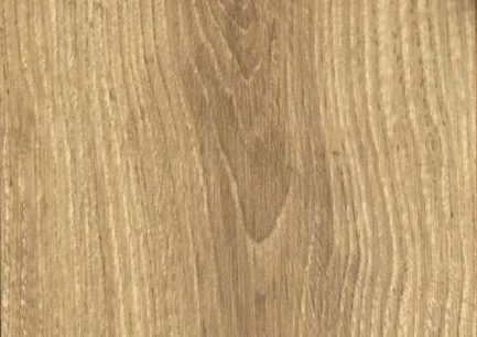 palaz-root-1705