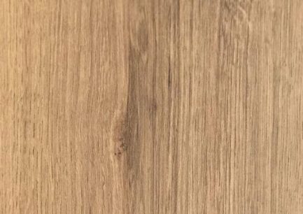 palaz-root-1707