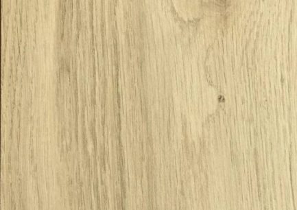 palaz-root-1708