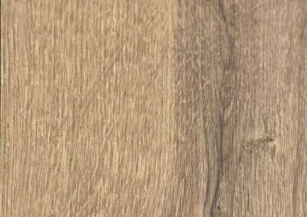 palaz-root-1711